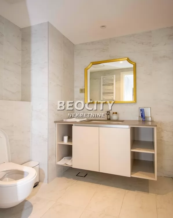 Lokal, 119 m2, Centar, Bulevar Vudroa Vilsona ID: 127122 13