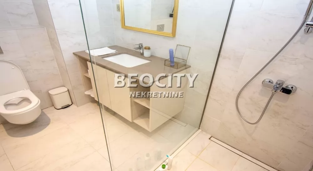 Lokal, 119 m2, Centar, Bulevar Vudroa Vilsona ID: 127122 14