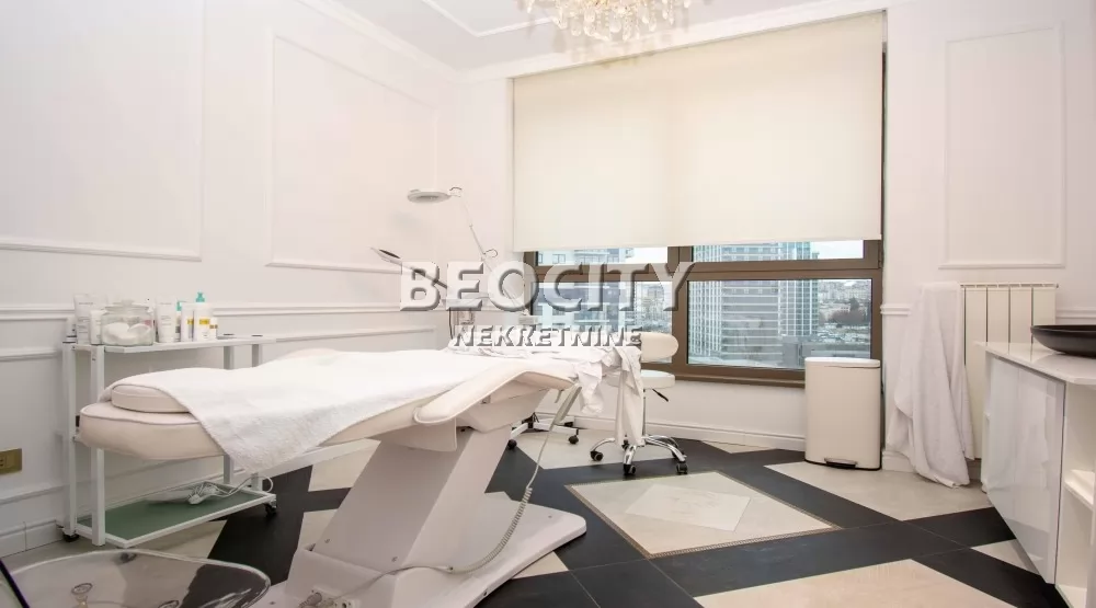 Lokal, 119 m2, Centar, Bulevar Vudroa Vilsona ID: 127122 6