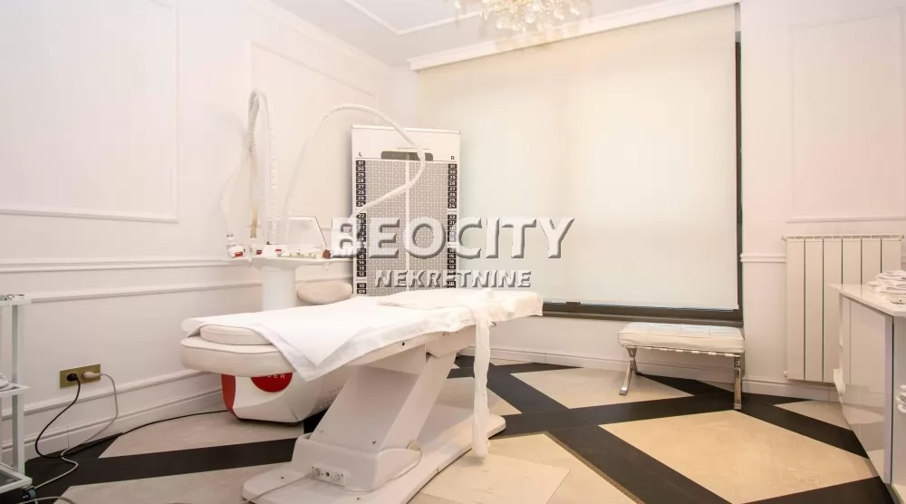 Lokal, 119 m2, Centar, Bulevar Vudroa Vilsona ID: 127122 7