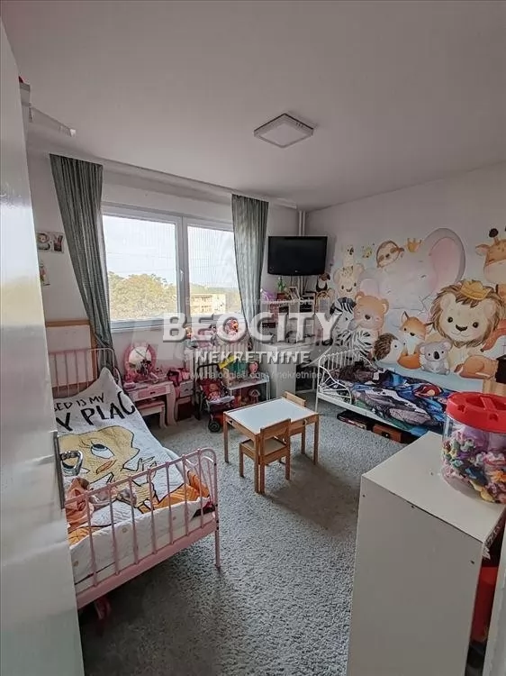 Dvosoban stan, 60 m2, Palilula, Maljenska ID: 127409 11