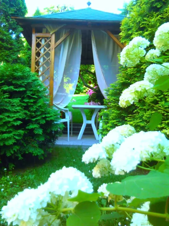 Kuca,BUKOVAC,BUKOVAC,kv: 620, € 227900, ID: 3002146 10