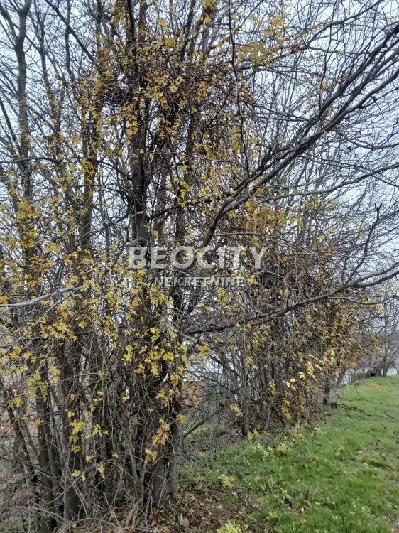 Plac, Popovica, Artiljevo ID: 127085 1