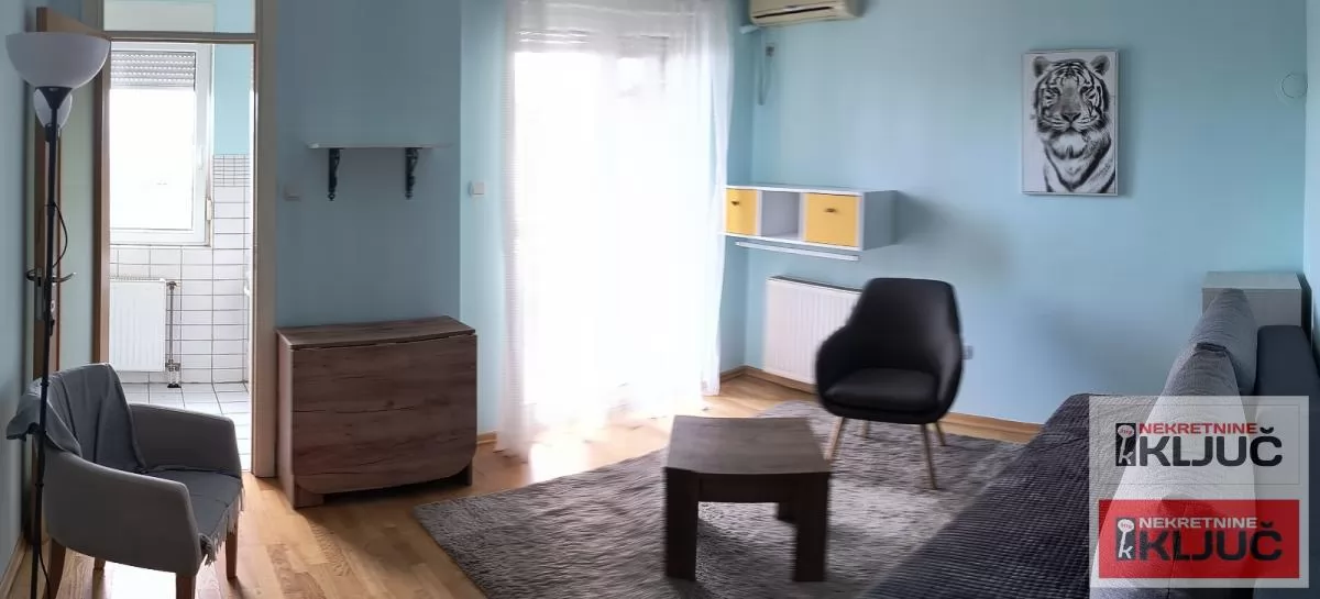 Odlican jednosoban stan na Limanu 4 7