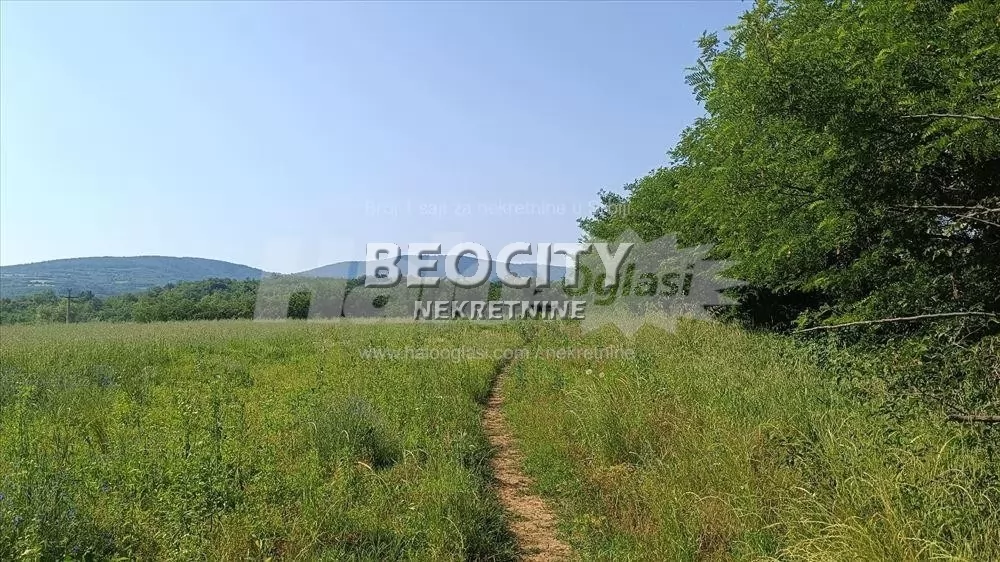 Plac, Velika Ivanča, Prevalska ID: 121563 2