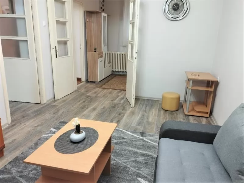 Stan,NOVI SAD,CENTAR,kv: 54, € 380, ID: 9101659 5