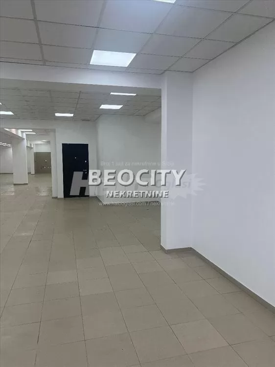 Lokal, 310 m2, Dušanovac, Vojvode Skopljanca ID: 128039 4