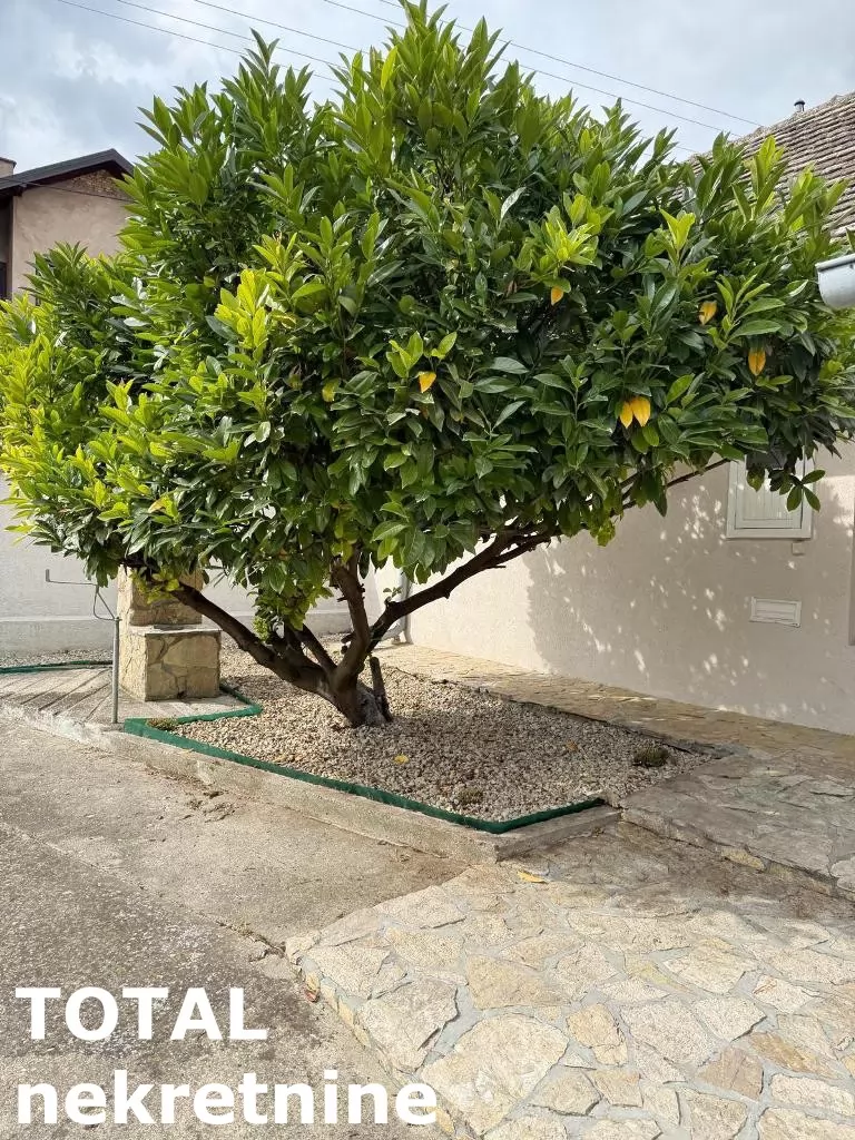 Kuca,VRDNIK,VRDNIK,kv: 100.00, € 150000, ID: 3091524 23