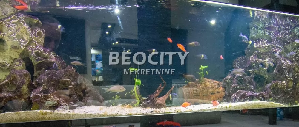 Petosoban stan, 135 m2, Palilula, Dečja ID: 128126 9