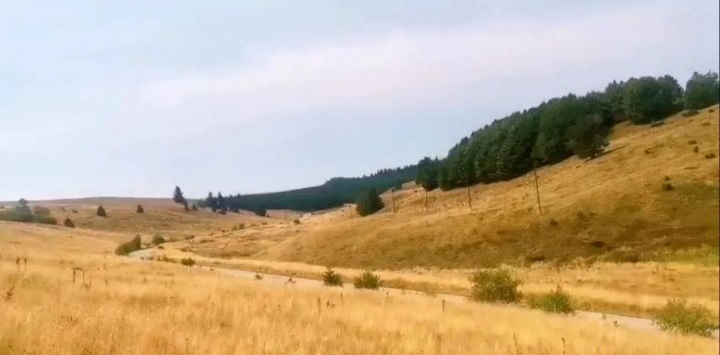 Placevi na Kopaoniku 2