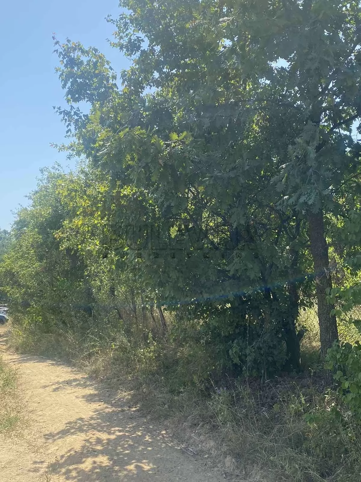 Plac, Bukorovac, Užičke republike ID: p-015655 2