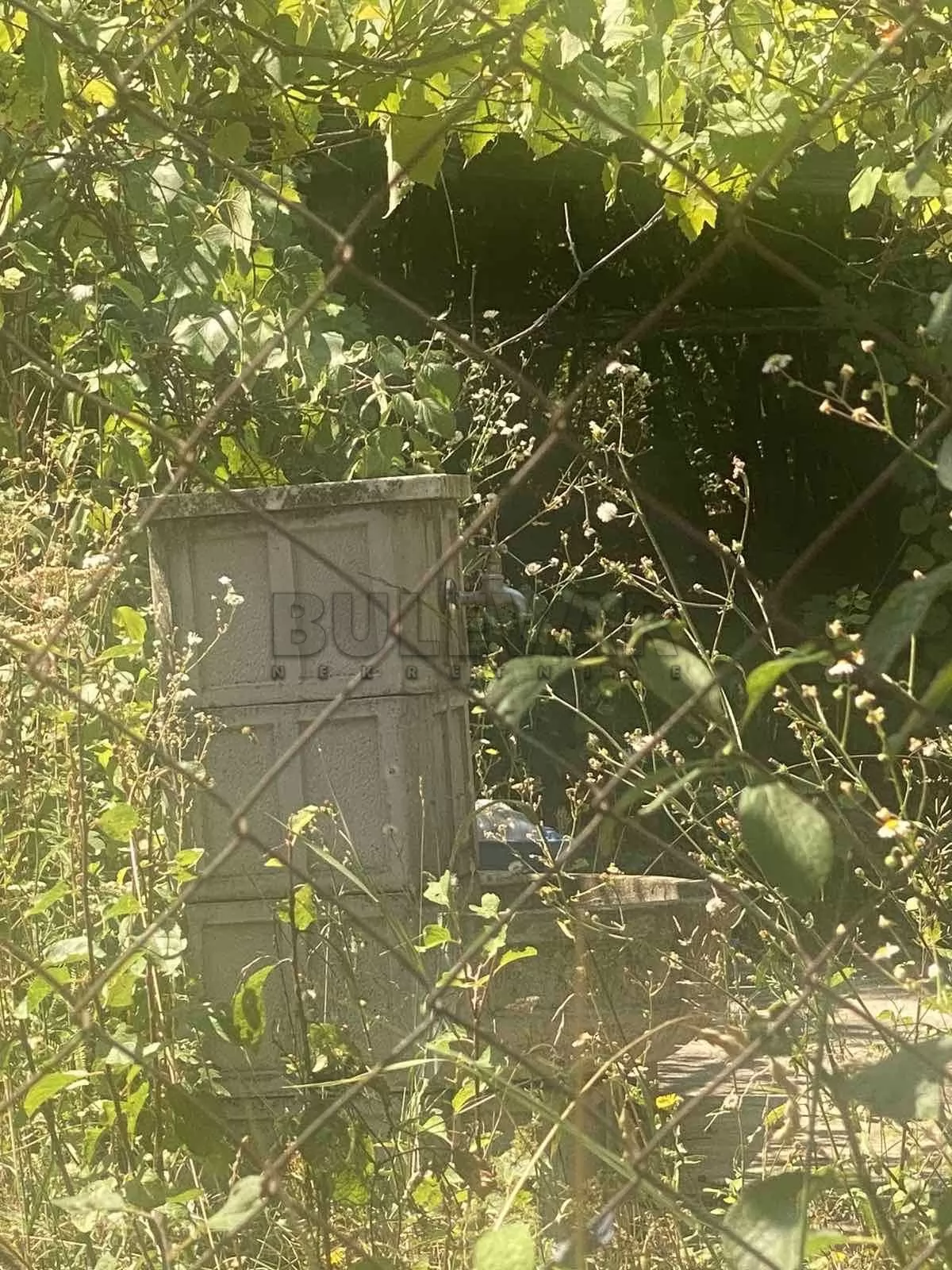 Plac, Bukorovac, Užičke republike ID: p-015655 4