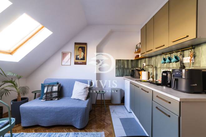 Renoviran 3 0 stan u centru  Uzun Mirkova  50m2 2