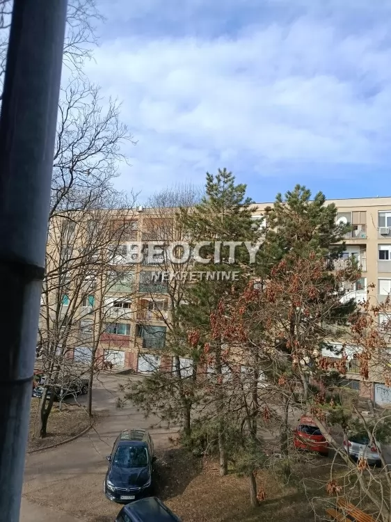 Dvosoban stan, 47 m2, Stara Detelinara, Molijerova ID: 128396 8