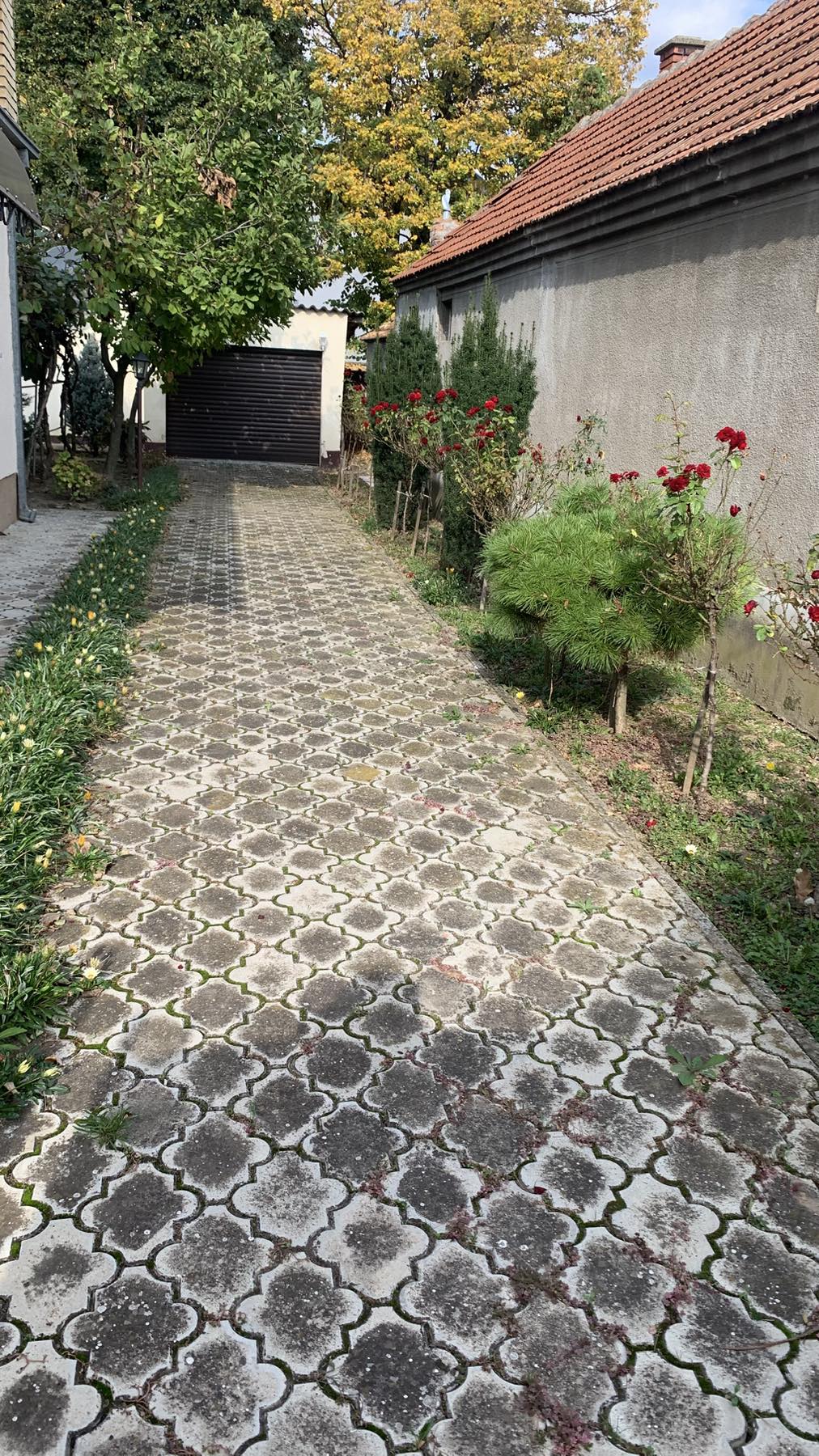 EXTRA LOKACIJA   Kuća u Mačvanskoj Mitrovici uz školu i vrtić a blizina i pešačkog mosta 4