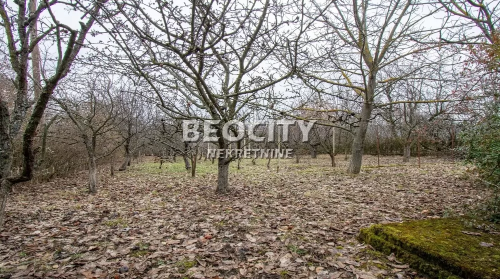 Dvosobna kuća, 42 m2, Surčin, Avalski drum ID: 128458 5