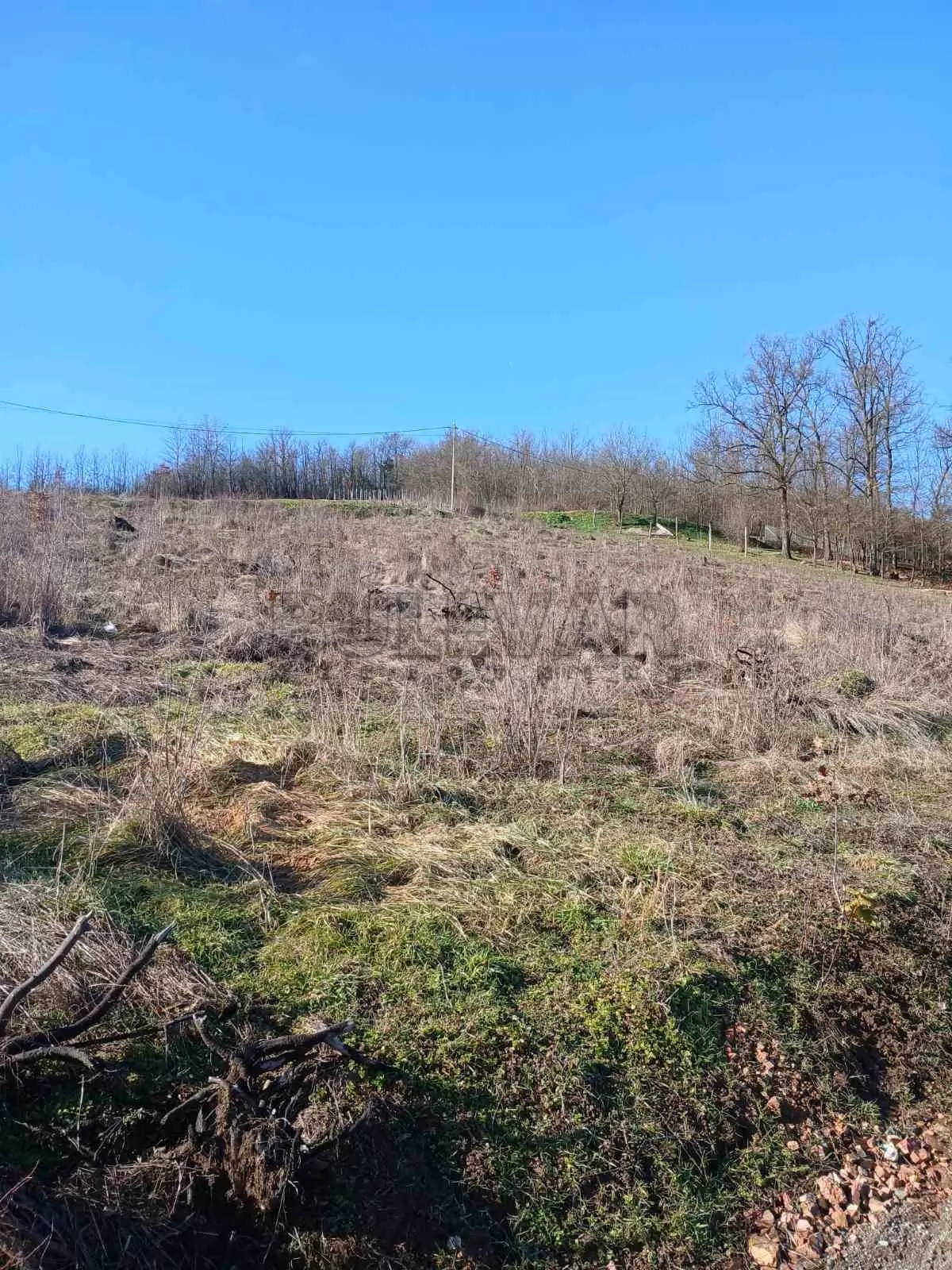 Plac, Žunje, Žunje ID: p-015712 1