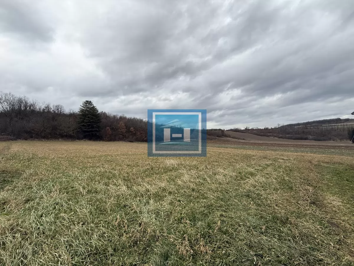 Dve kuće u Glavincima sa velikim imanjem -samo 8 km od grada 16