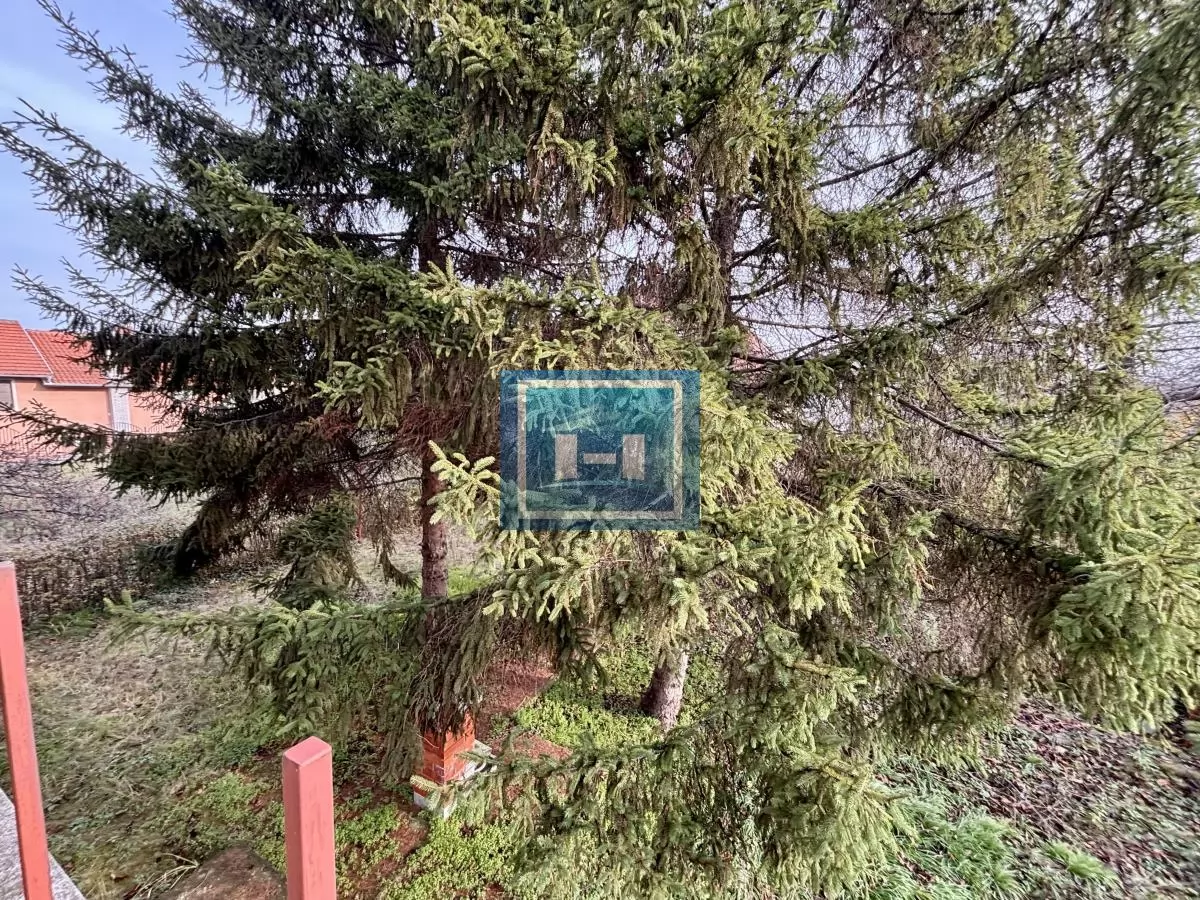 Povoljna šestosobna kuća na Budžinom brdu 31