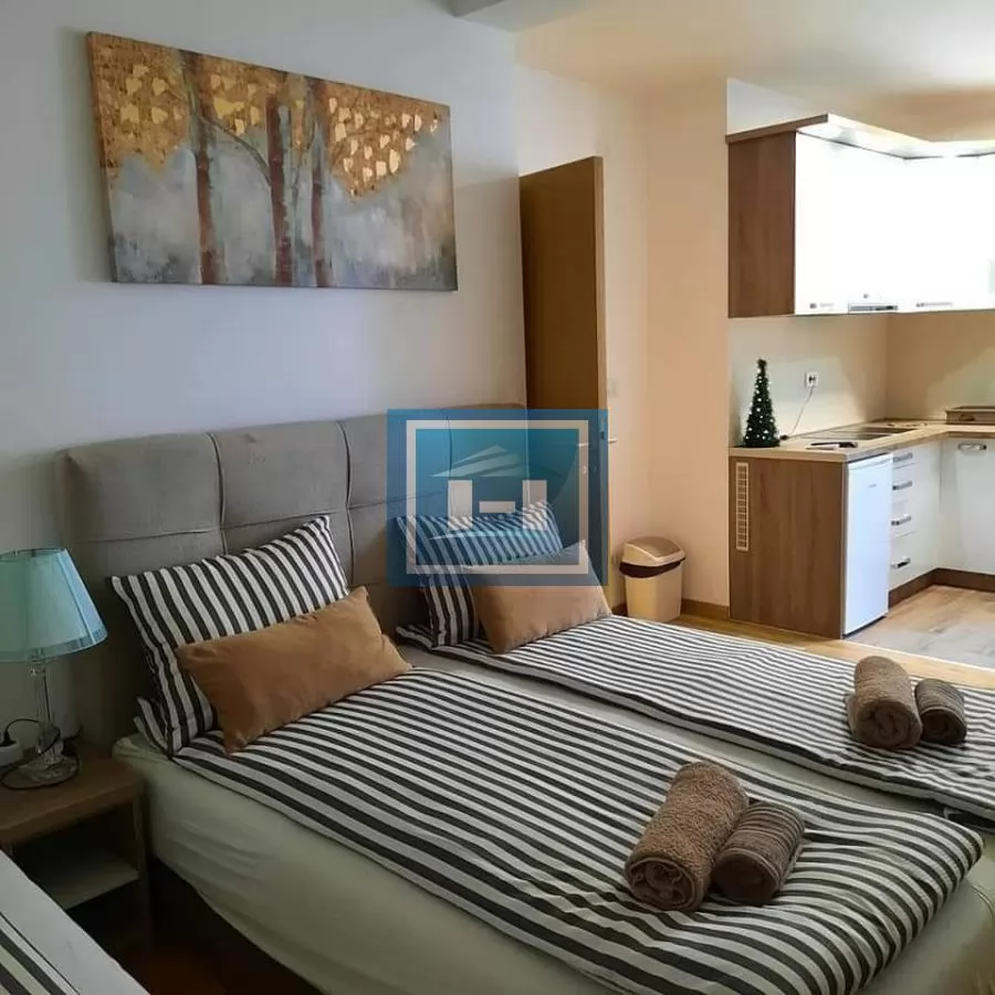 Stan u strogom centru Sokobanje 1