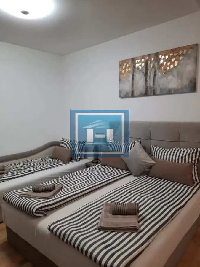 Stan u strogom centru Sokobanje 3