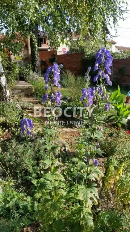 Trosobna kuća, 101 m2, Centar, Karađorđeva ID: 128111 20