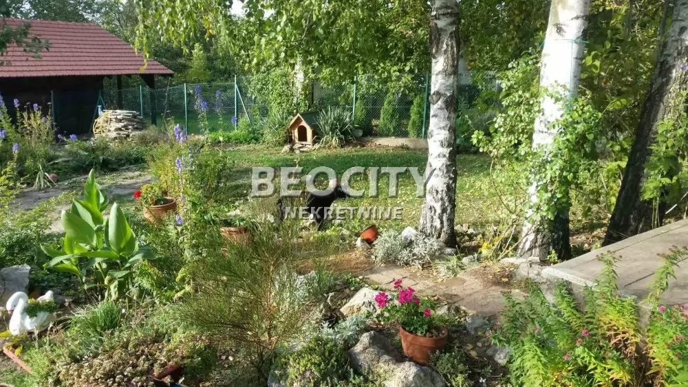 Trosobna kuća, 101 m2, Centar, Karađorđeva ID: 128111 4