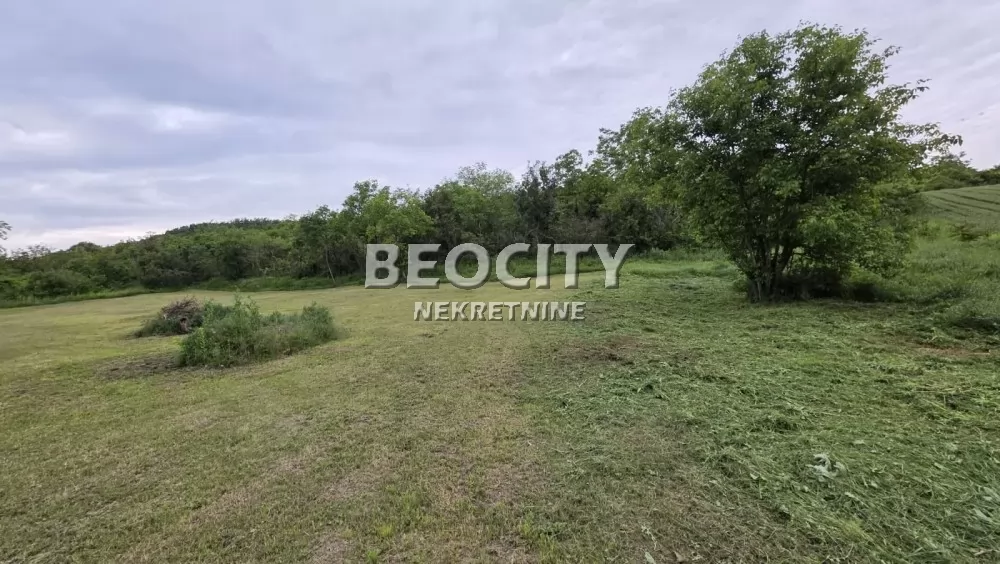 Plac, Novi Sad, Ledinci ID: 128941 7