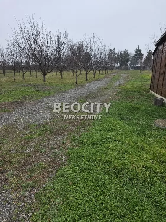 Plac, Ostružnica, Ane Krasojević ID: 106743 1