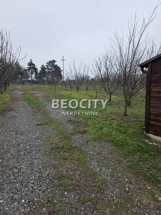 Plac, Ostružnica, Ane Krasojević ID: 106743 5