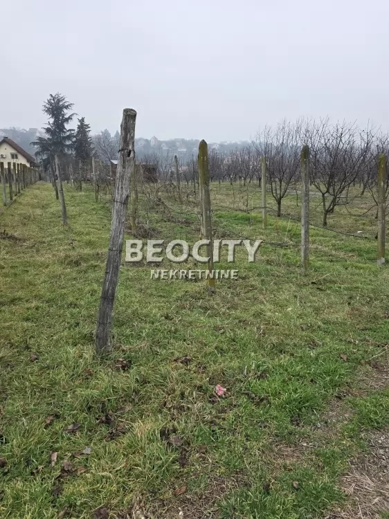 Plac, Ostružnica, Ane Krasojević ID: 106743 6