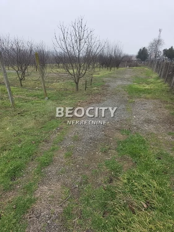 Plac, Ostružnica, Ane Krasojević ID: 106743 7