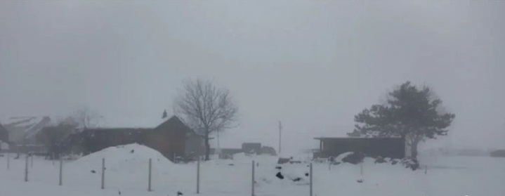 Plac sa kucom Beograd Borca 4