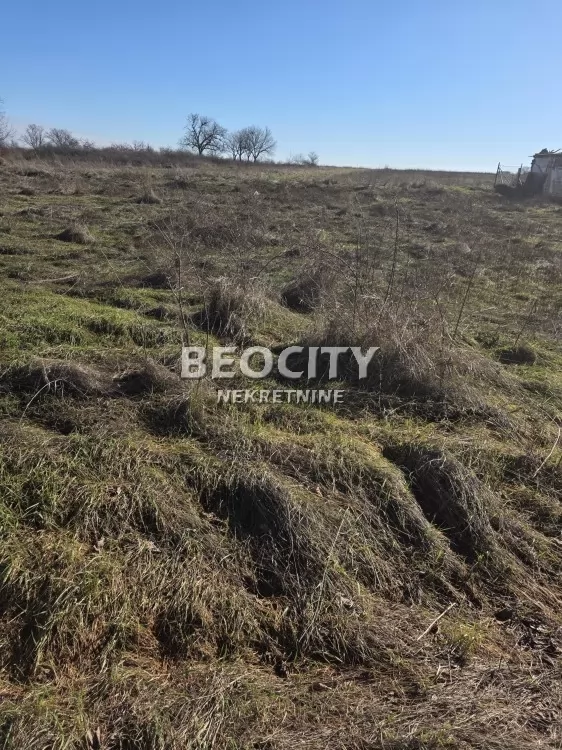 Plac, Ostružnica, Prote Marka 25 ID: 128810 2