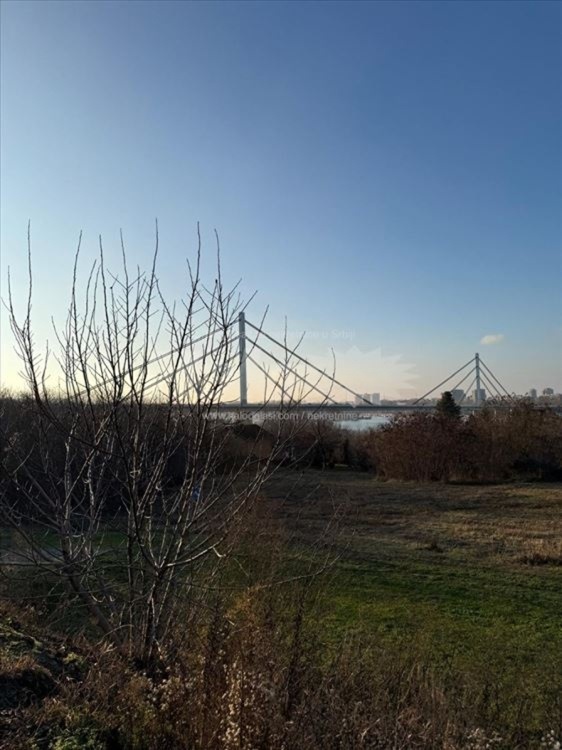 Prelep plac Ribnjak Petrovaradin 2