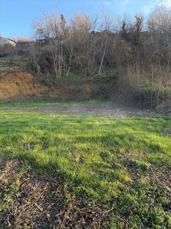 Prelep plac Ribnjak Petrovaradin 4