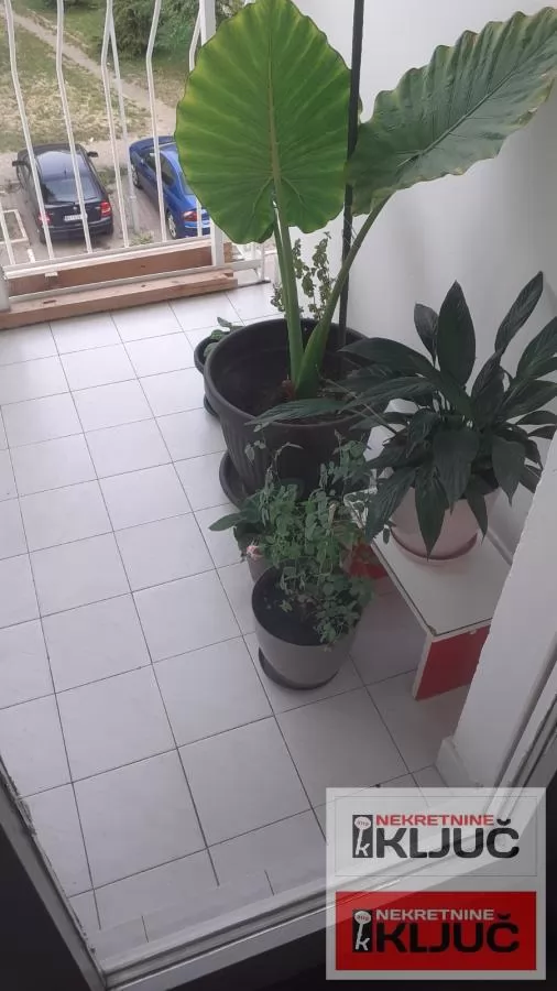 NOVO NASELJE, 53m2, Jednoiposoban, RENOVIRAN 12