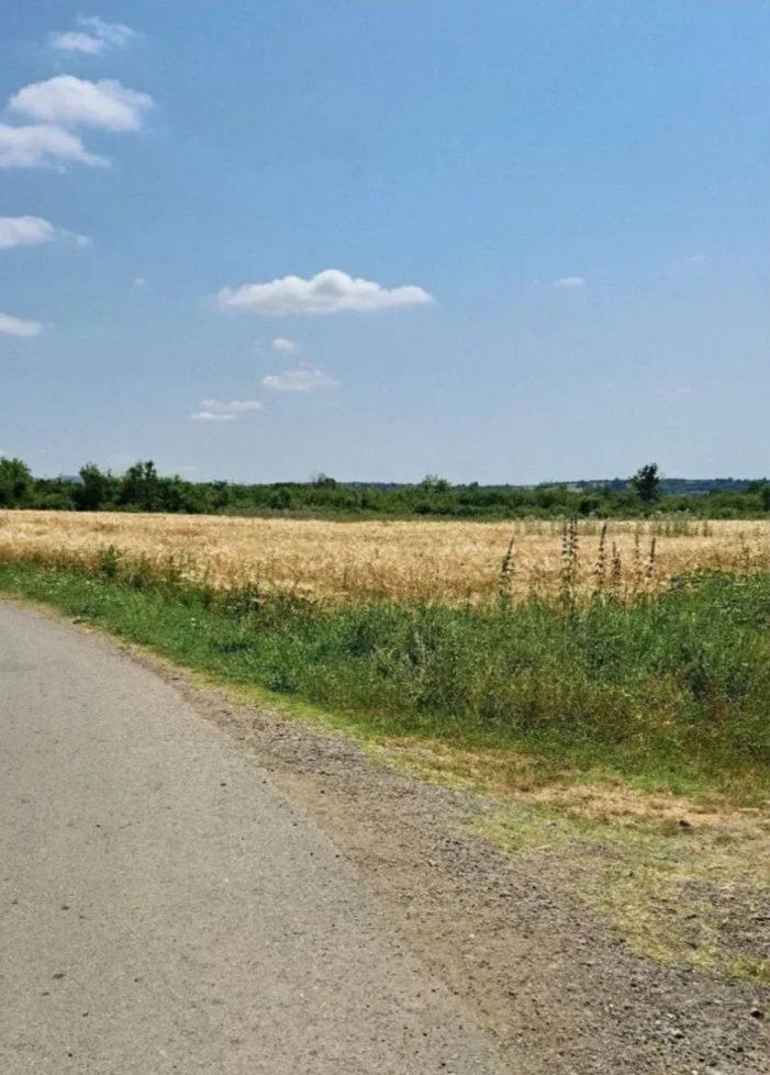 Njiva Barajevo Veliki Borak 1