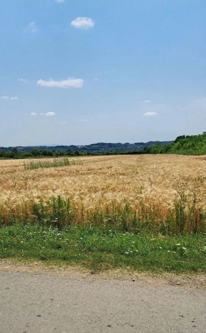 Njiva Barajevo Veliki Borak 2