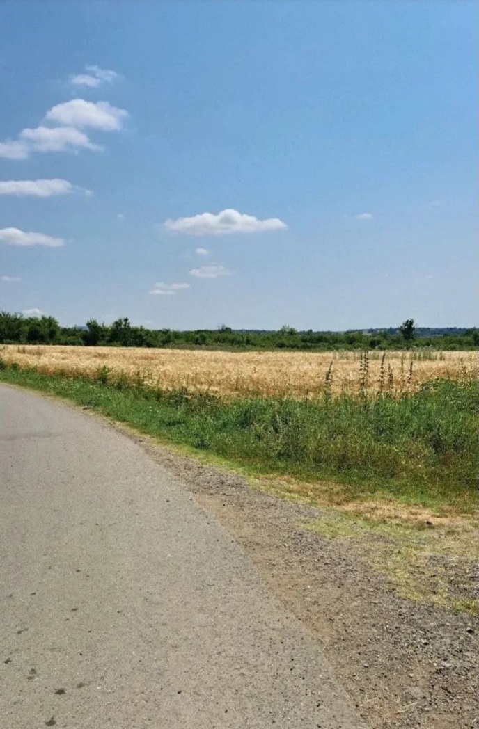 Njiva Barajevo Veliki Borak 4