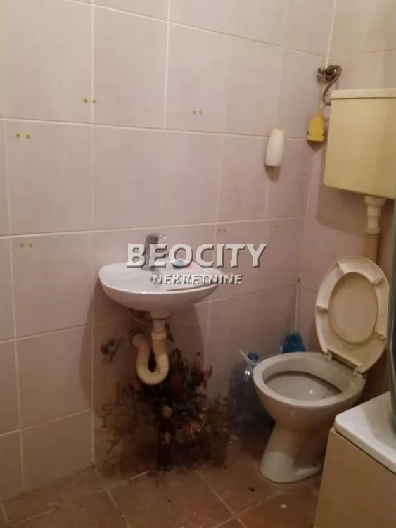 Jednosoban stan, 25 m2, Stara Detelinara, Kopernikova ID: 129309 4