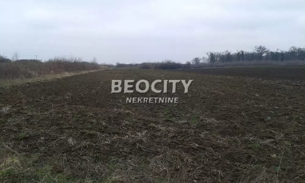 Plac, Surčin, Majke Angeline bb,tabla 075 ID: 129242 1