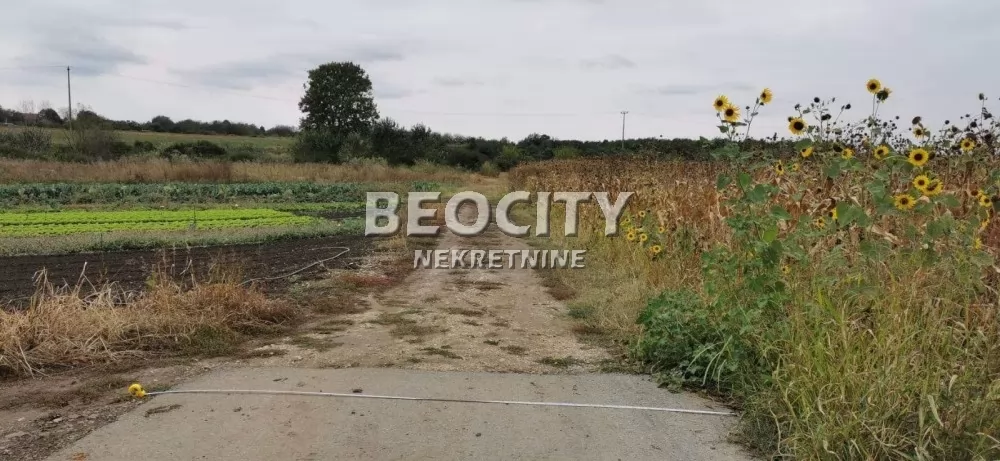 Plac, Surčin, Majke Angeline bb,tabla 075 ID: 129242 9