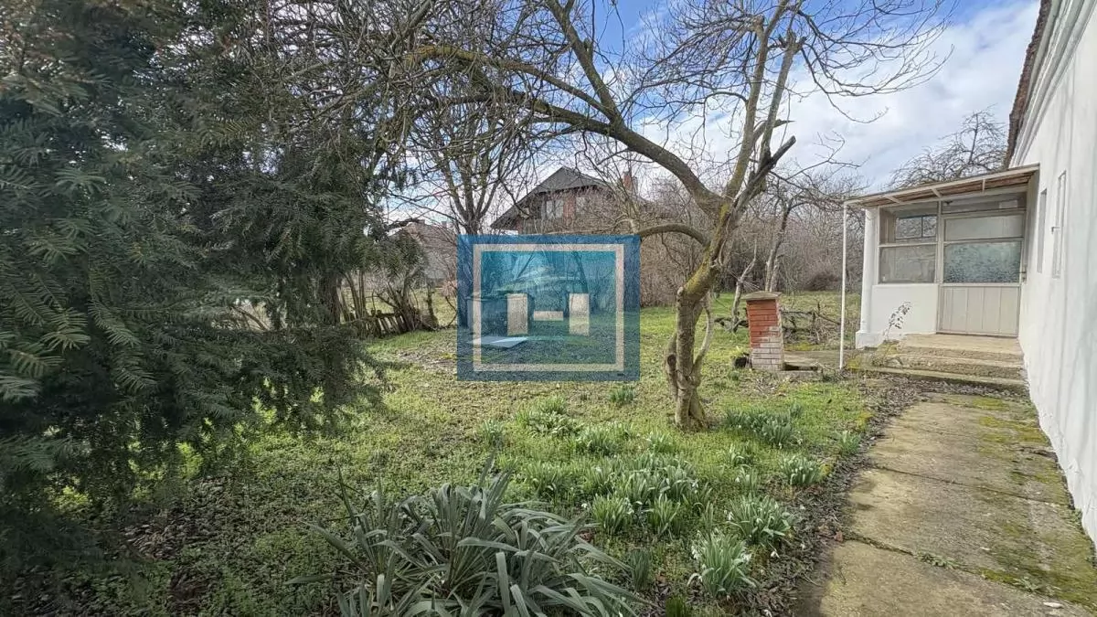 NA PRODAJU SEOSKO DOMAĆINSTVO NADOMAK JAGODINE – IDEALNA PRILIKA ZA ŽIVOT 10