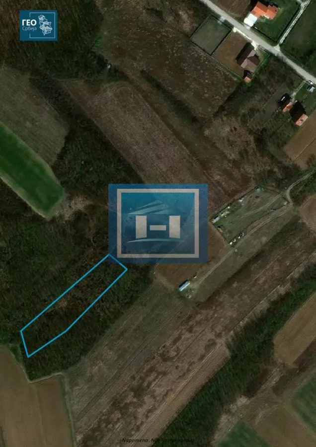 NA PRODAJU SEOSKO DOMAĆINSTVO NADOMAK JAGODINE – IDEALNA PRILIKA ZA ŽIVOT 14