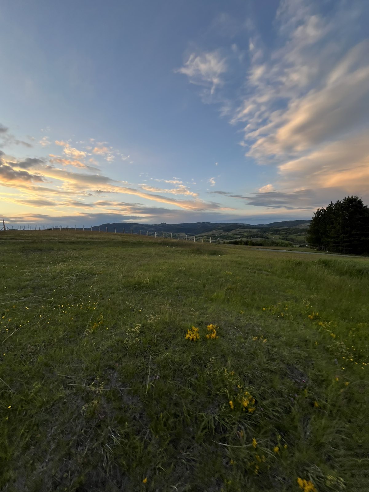 Prodaja placa u selu Ljutice Tometino Polje 1