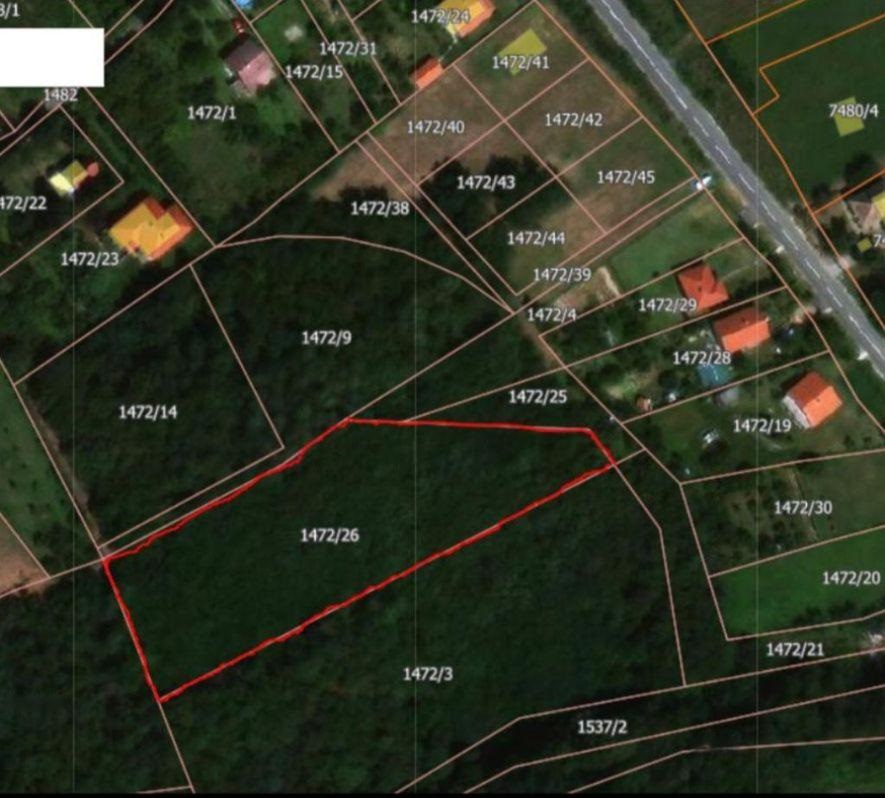 Prodaje se šumsko zemljište na opštini Barajevo Batašina 1