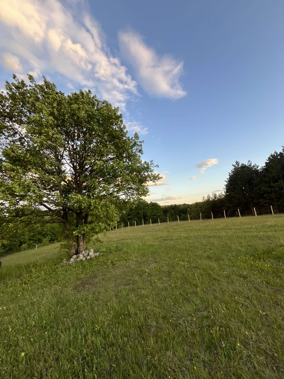 Prodaja placa u selu Ljutice Tometino Polje 2