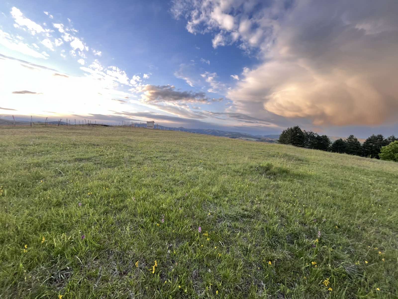 Prodaja placa u selu Ljutice Tometino Polje 3
