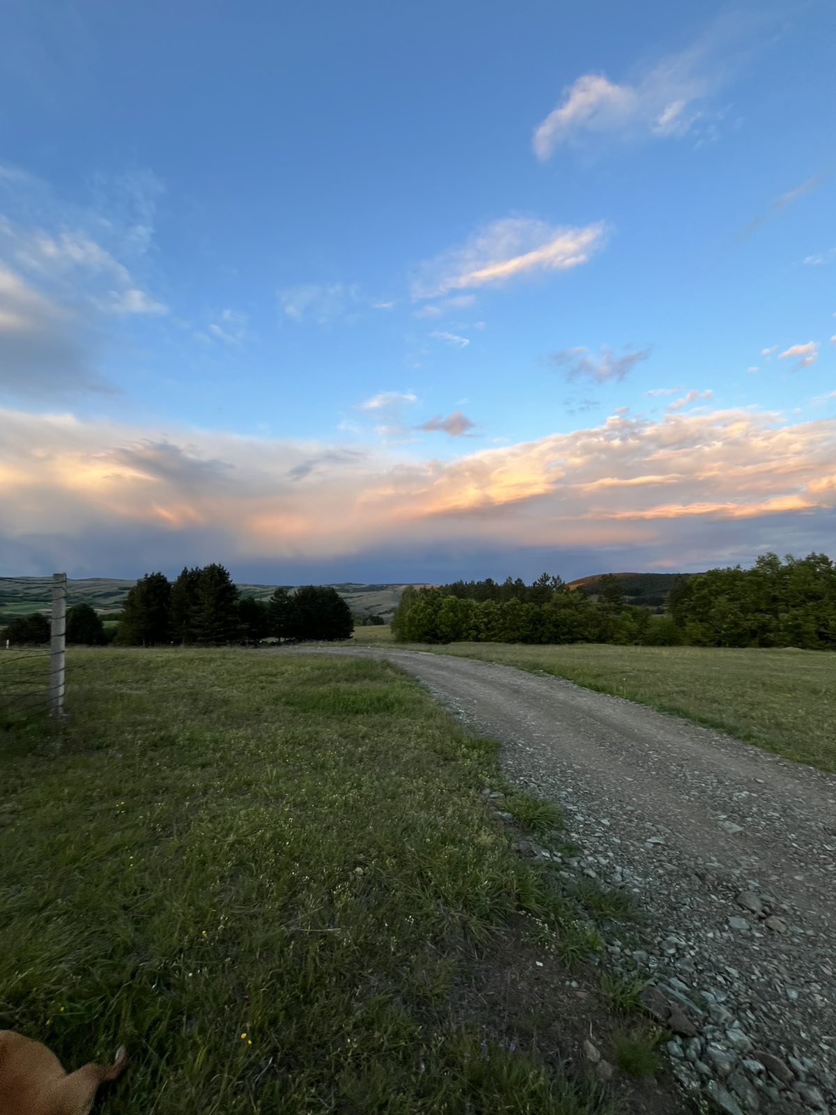 Prodaja placa u selu Ljutice Tometino Polje 4